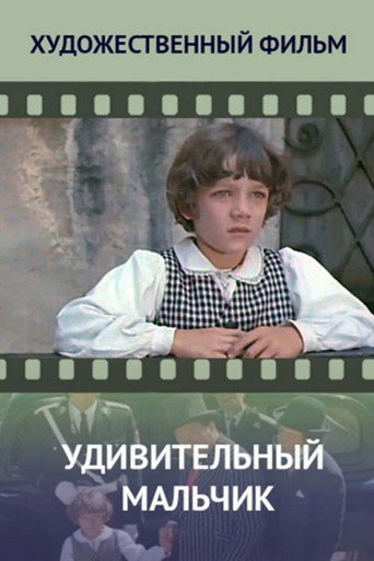 Удивительный мальчик (1971) — постер