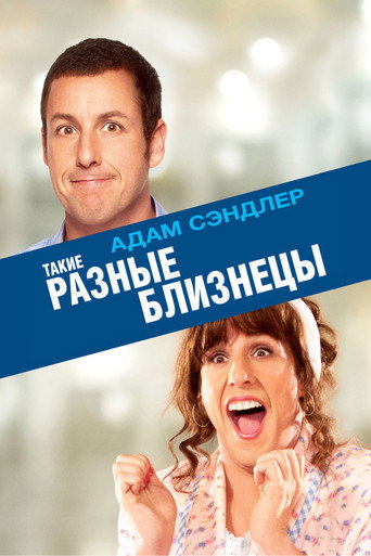 Такие разные близнецы (2011) — постер