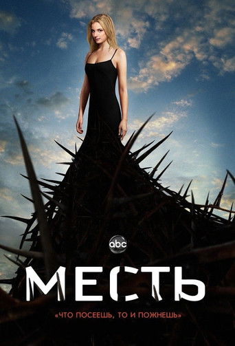 Месть (2011) — постер