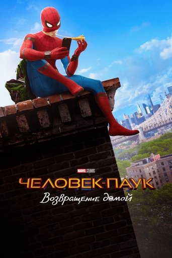 Человек-паук: Возвращение домой (2017) — постер
