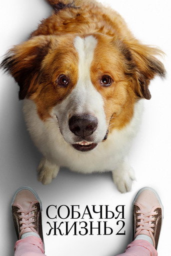 Собачья жизнь 2 (2019) — постер