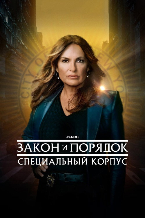 Закон и порядок. Специальный корпус — постер