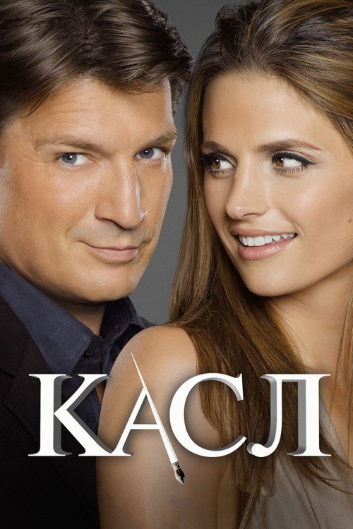 Касл (2009) — постер