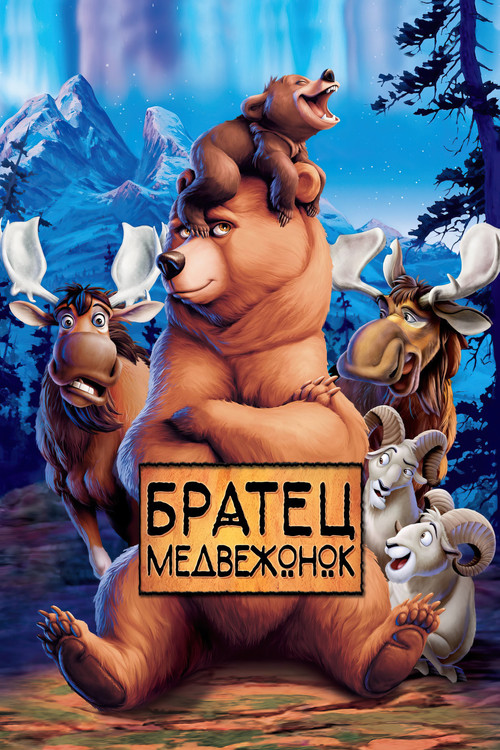 Братец медвежонок (2003) — постер