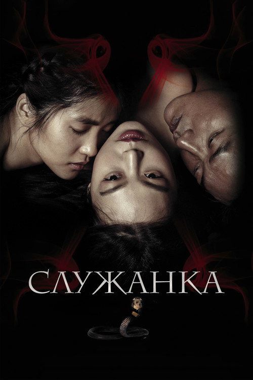 Служанка — постер