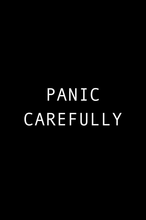 Panic Carefully (2027) — постер