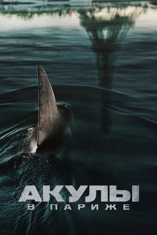 Акулы в Париже (2024) — постер