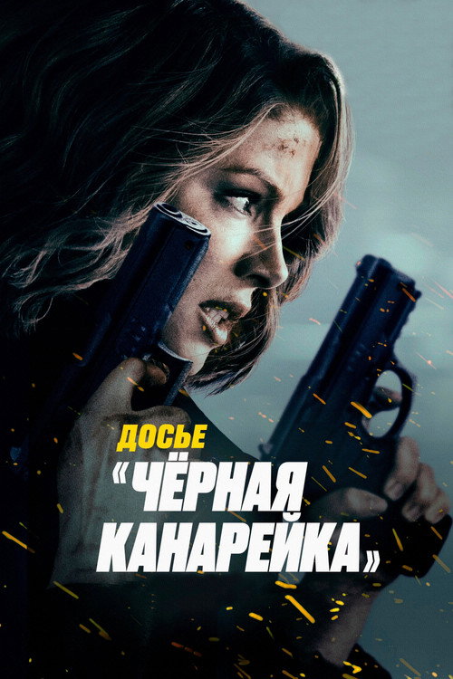 Досье «Чёрная канарейка» (2024) — постер